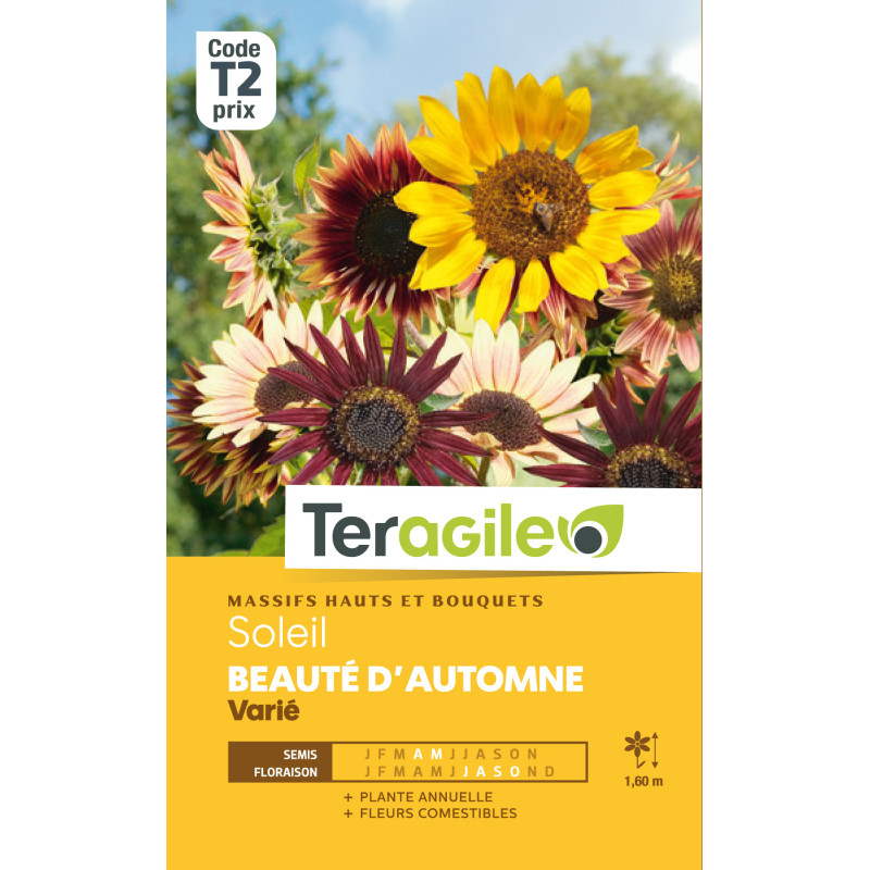 Soleil beaute d'automne varie 4.00 g de Teragile - produits pour le jardin dans Graines de fleurs en S