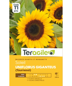Soleil uniflorus giganteus 4.00 g de Teragile - produits pour le jardin dans Graines de fleurs en S