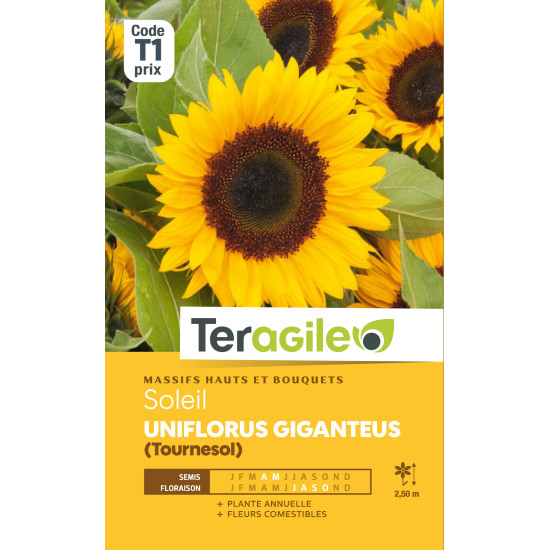 Soleil uniflorus giganteus 4.00 g de Teragile - produits pour le jardin dans Graines de fleurs en S