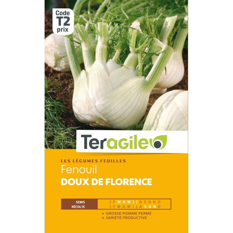 Fenouil doux de florence t2 teragile de Teragile - produits pour le jardin dans Graines d'autres légumes
