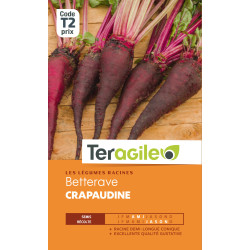 Betterave potagere crapaudine 4.00 g de Teragile - produits pour le jardin dans Graines de Betterave