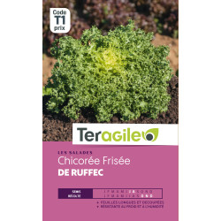 Chicoree frisee de ruffec t1 teragile de Teragile - produits pour le jardin dans Graines de Chicoree