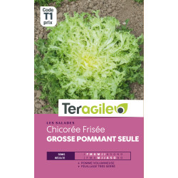Chicoree frisee gs pommant seul t1 teragile de Teragile - produits pour le jardin dans Graines de Chicoree