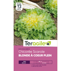 Chicoree scarole blonde a coeur plein 4.00 g de Teragile - produits pour le jardin dans Graines de Chicoree
