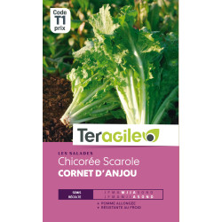 Chicoree scarole cornet anjou t1 teragile de Teragile - produits pour le jardin dans Graines de Chicoree