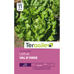 Laitue val d'orge t1 teragile de Teragile - produits pour le jardin dans Graines de Salade - Laitue