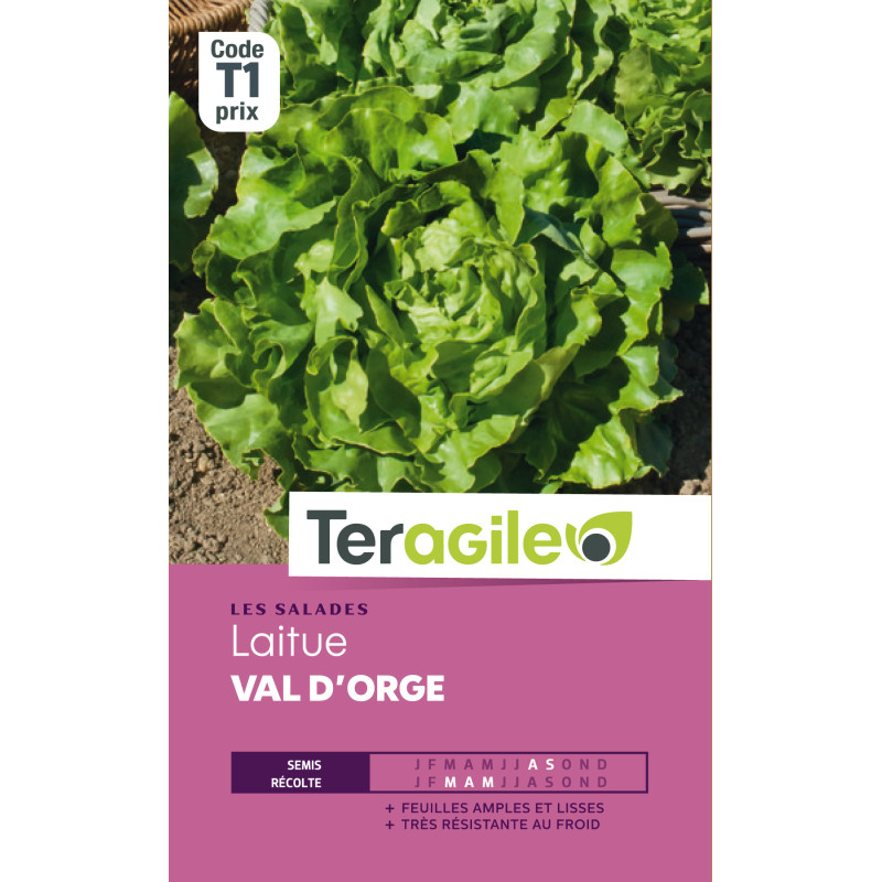 Laitue val d'orge t1 teragile de Teragile - produits pour le jardin dans Graines de Salade - Laitue