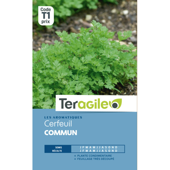 Cerfeuil commun t1 teragile de Teragile - produits pour le jardin dans Graines de Cerfeuil