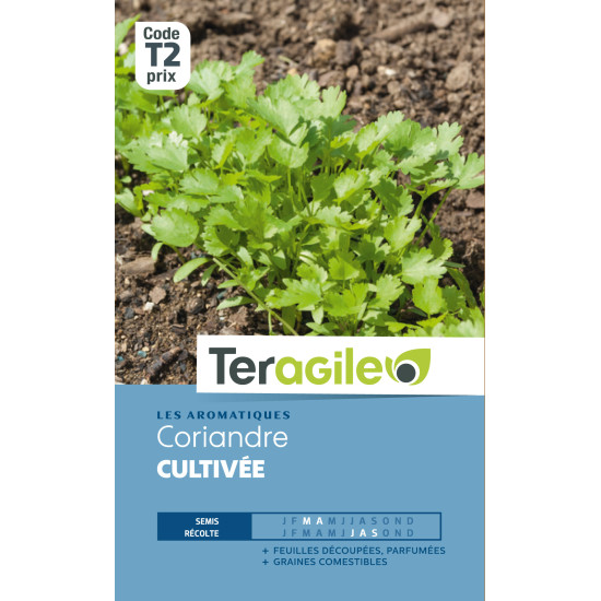 Coriandre cultivee 5.00 g de Teragile - produits pour le jardin dans Graines de Coriandre
