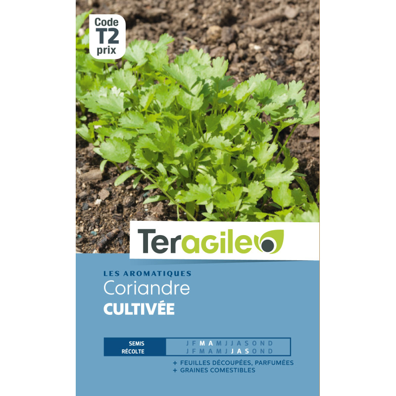 Coriandre cultivee 5.00 g de Teragile - produits pour le jardin dans Graines de Coriandre