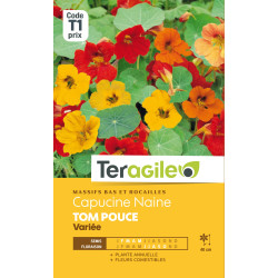 Capucine naine tom pouce variee      5.00 g de Teragile - produits pour le jardin dans Graines de fleurs en C