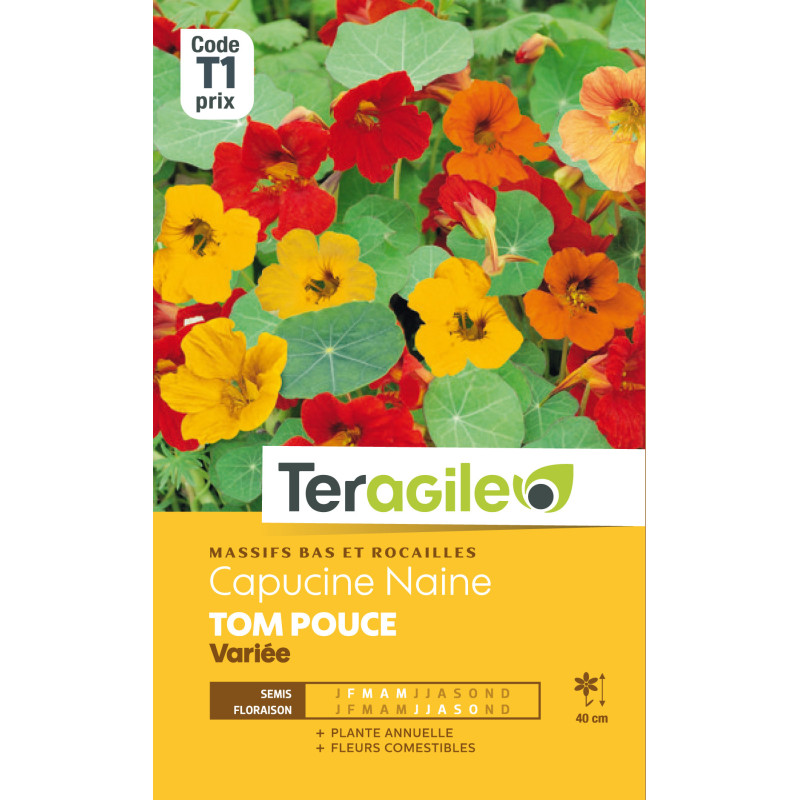 Capucine naine tom pouce variee      5.00 g de Teragile - produits pour le jardin dans Graines de fleurs en C