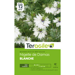 Nigelle de damas blanche 5.00 g de Teragile - produits pour le jardin dans Graines de fleurs en N