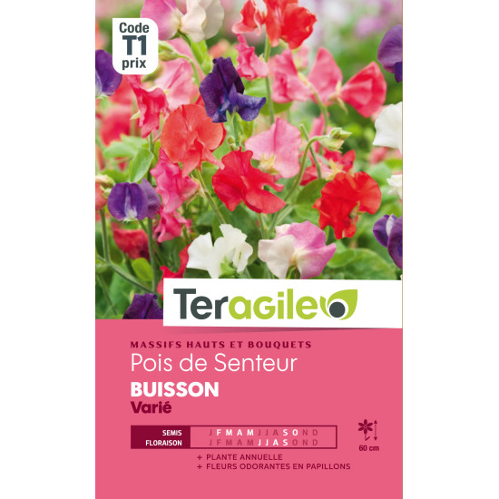 Pois de senteur buisson varie  5.00 g de Teragile - produits pour le jardin dans Graines de Pois