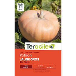 Potiron jaune gros de paris t1 teragile de Teragile - produits pour le jardin dans Graines de Coloquinte - Patisson - Potiron