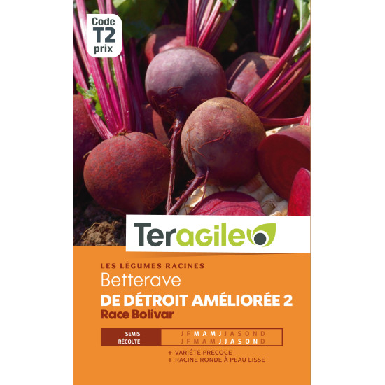 Betterave potagere de detroit amelioree 2 race b de Teragile - produits pour le jardin dans Graines de Betterave