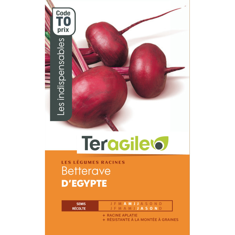Betterave d'egypte t0 teragile de Teragile - produits pour le jardin dans Graines de Betterave