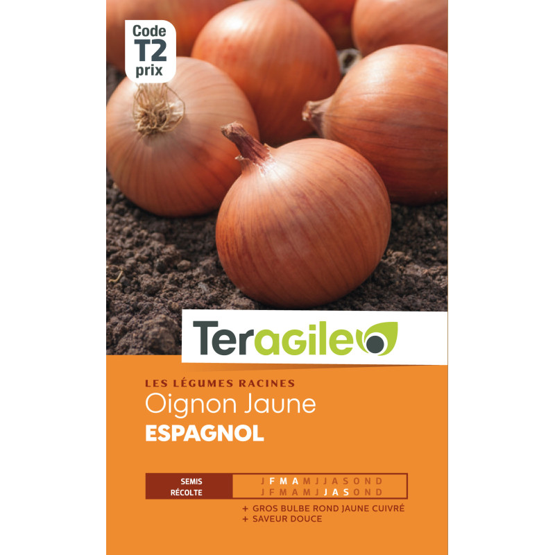 Oignon jaune espagnol t2 teragile de Teragile - produits pour le jardin dans Oignon - Ail - echalote à semer