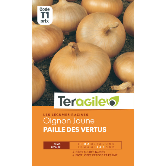 Oignon jaune paille des vertus t1 teragile de Teragile - produits pour le jardin dans Oignon - Ail - echalote à semer