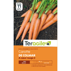 Carotte de colmar a coeur rouge 2 6.00 g de Teragile - produits pour le jardin dans Graines de Carotte