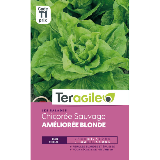 Chicoree sauvage ameliore blde t1 teragile de Teragile - produits pour le jardin dans Graines de Chicoree