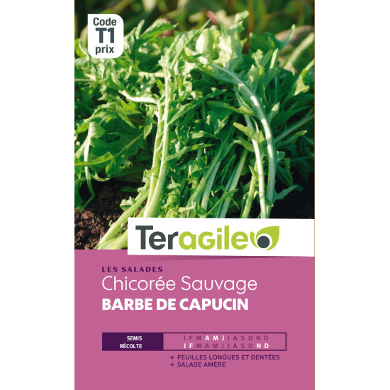 Chicoree barbe de capucin t1 teragile de Teragile - produits pour le jardin dans Graines de Chicoree