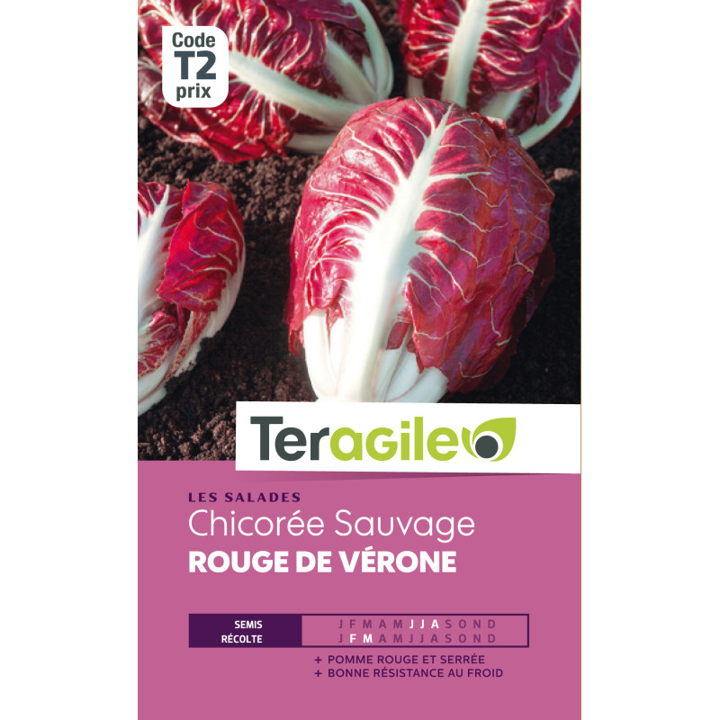 Chicoree sauvage rouge de verone 6.00 g de Teragile - produits pour le jardin dans Graines de Chicoree