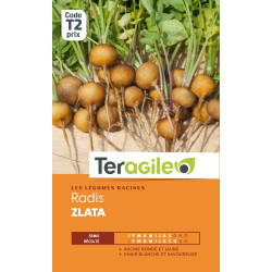 Radis zlata t2 teragile de Teragile - produits pour le jardin dans Graines de Radis