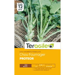 Chou fourrager proteor 10.00 g de Teragile - produits pour le jardin dans Graines de Chou