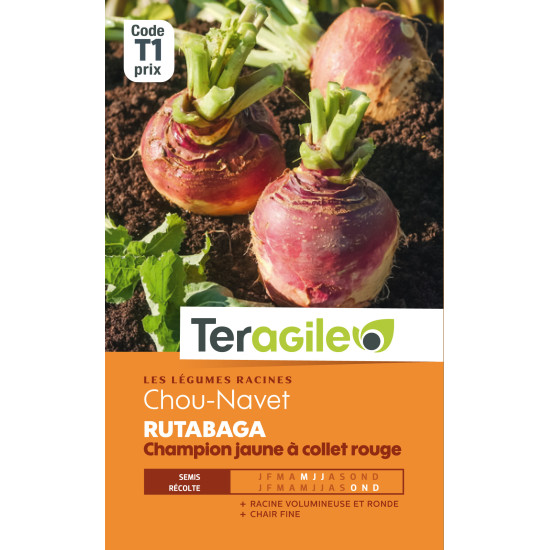Chou-navet rutbg jaun / rge t1 teragile de Teragile - produits pour le jardin dans Graines de Chou