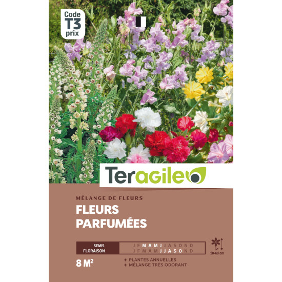 Fleurs d'ete parfumees 15.00 g de Teragile - produits pour le jardin dans Graines de Jachere fleurie