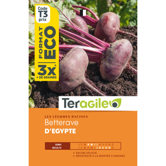 Betterave potagere d'egypte 15.00 g de Teragile - produits pour le jardin dans Graines de Betterave