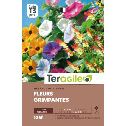 Fleurs grimpantes en melange 20.00 g de Teragile - produits pour le jardin dans Graines de Jachere fleurie