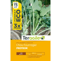 Chou fourrager proteor 30.00 g de Teragile - produits pour le jardin dans Graines de Chou