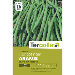 Haricot nain extra-fin sans fil aramis 200.00 g de Teragile - produits pour le jardin dans Graines de Haricot