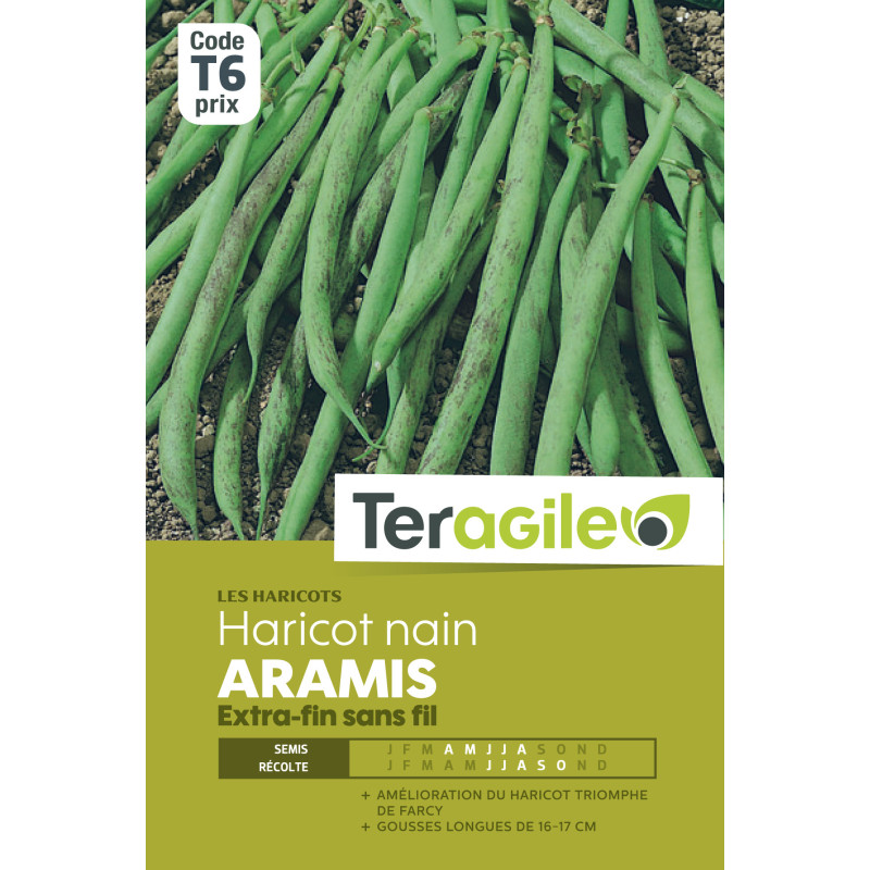Haricot nain extra-fin sans fil aramis 200.00 g de Teragile - produits pour le jardin dans Graines de Haricot