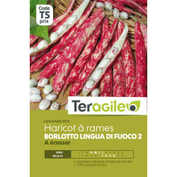Haricot a rames a ecosser borlotto di fuoco 2 20 de Teragile - produits pour le jardin dans Graines de Haricot