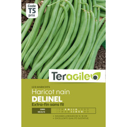 Haricot nain extra-fin sans fil delinel 200.00 g de Teragile - produits pour le jardin dans Graines de Haricot