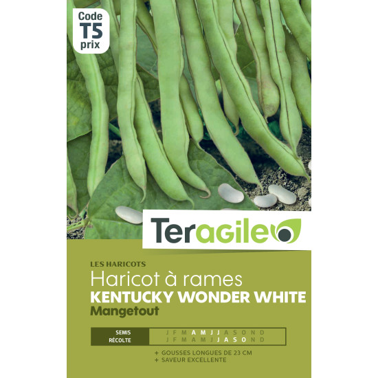 Haricot a rames kentucky wonder white 200.00 g de Teragile - produits pour le jardin dans Graines de Haricot