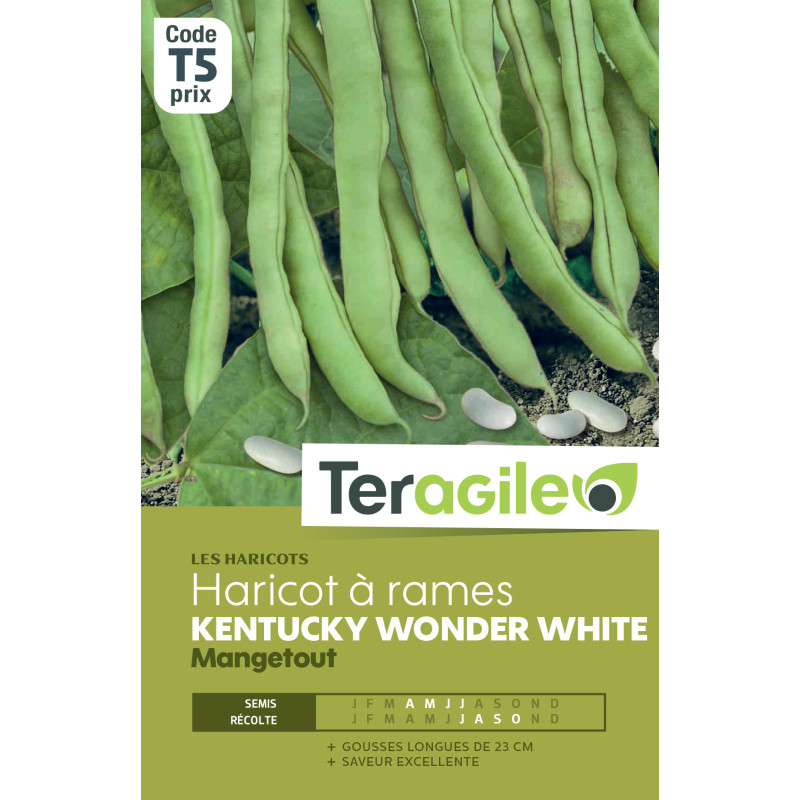 Haricot a rames kentucky wonder white 200.00 g de Teragile - produits pour le jardin dans Graines de Haricot