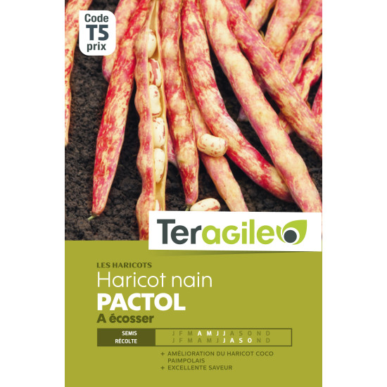 Haricot nain a ecosser pactol 200.00 g de Teragile - produits pour le jardin dans Graines de Haricot