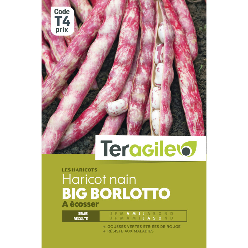 Haricot nain a ecosser big borlotto 200.00 g de Teragile - produits pour le jardin dans Graines de Haricot