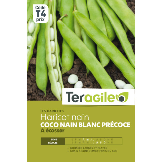 Haricot nain a ecosser coco nain blanc precoce 2 de Teragile - produits pour le jardin dans Graines de Haricot