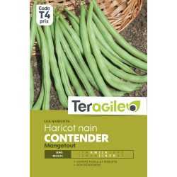 Haricot nain mangetout contender 200.00 g de Teragile - produits pour le jardin dans Graines de Haricot