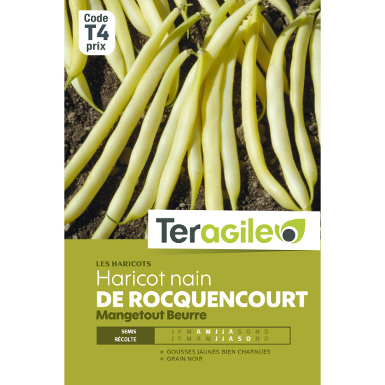 Haricot nain mangetout beurre de rocquencourt de Teragile - produits pour le jardin dans Graines de Haricot