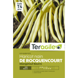Haricot nain mangetout beurre de rocquencourt de Teragile - produits pour le jardin dans Graines de Haricot