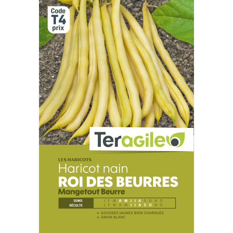 Haricot nain mangetout kinghorn wax 200.00 g de Teragile - produits pour le jardin dans Graines de Haricot