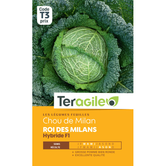 Chou de milan roi des milans hybride f1 140 grai de Teragile - produits pour le jardin dans Graines de Chou