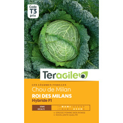 Chou de milan roi des milans hybride f1 140 grai de Teragile - produits pour le jardin dans Graines de Chou