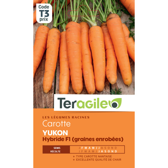 /CAROTTE YUKON HYB.F1 200 graines de Teragile - produits pour le jardin dans Graines de Carotte